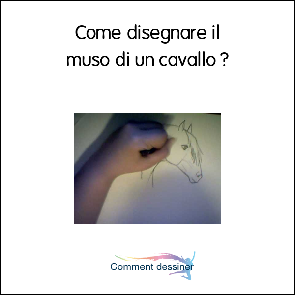 Come disegnare il muso di un cavallo